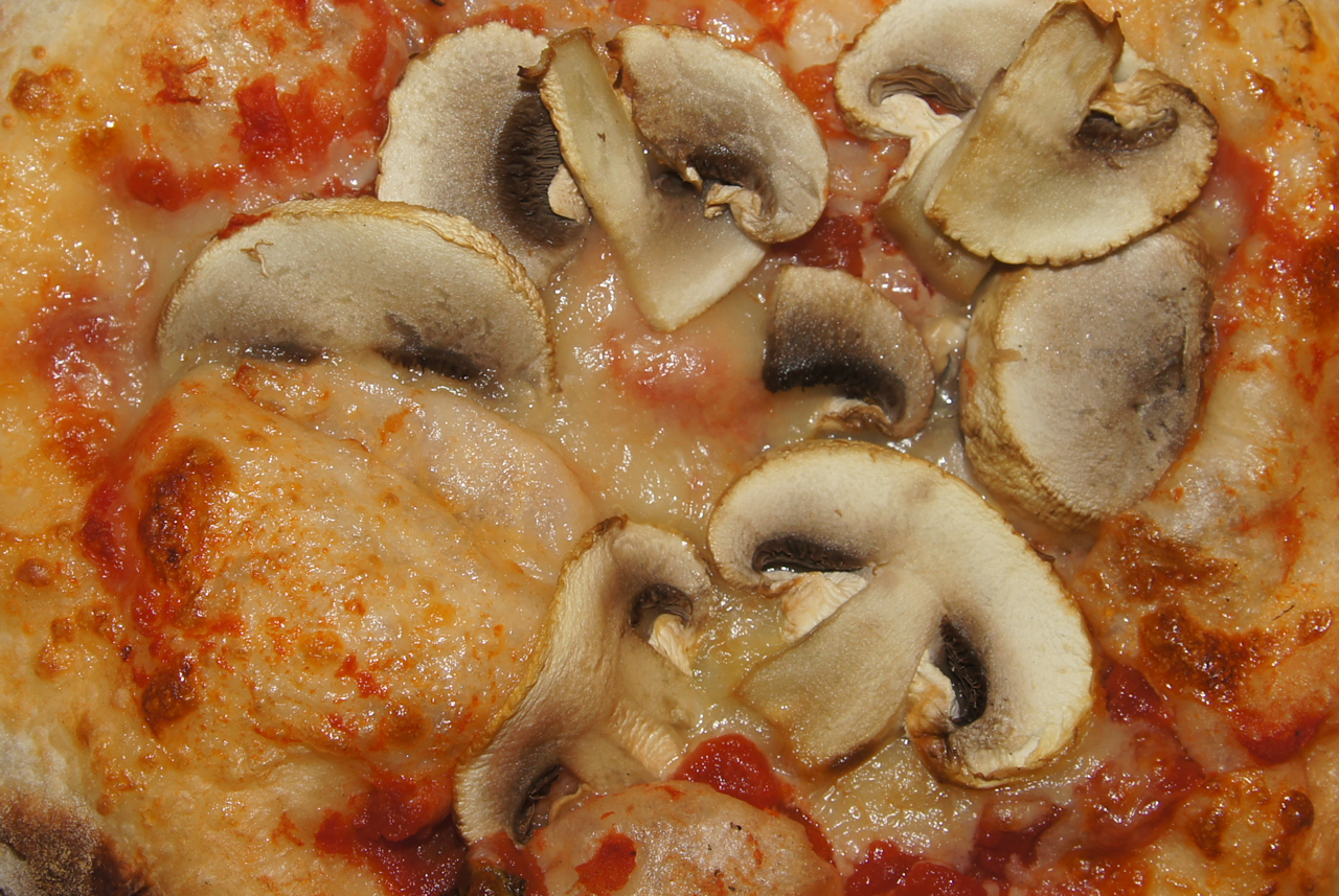 Image hover effect image