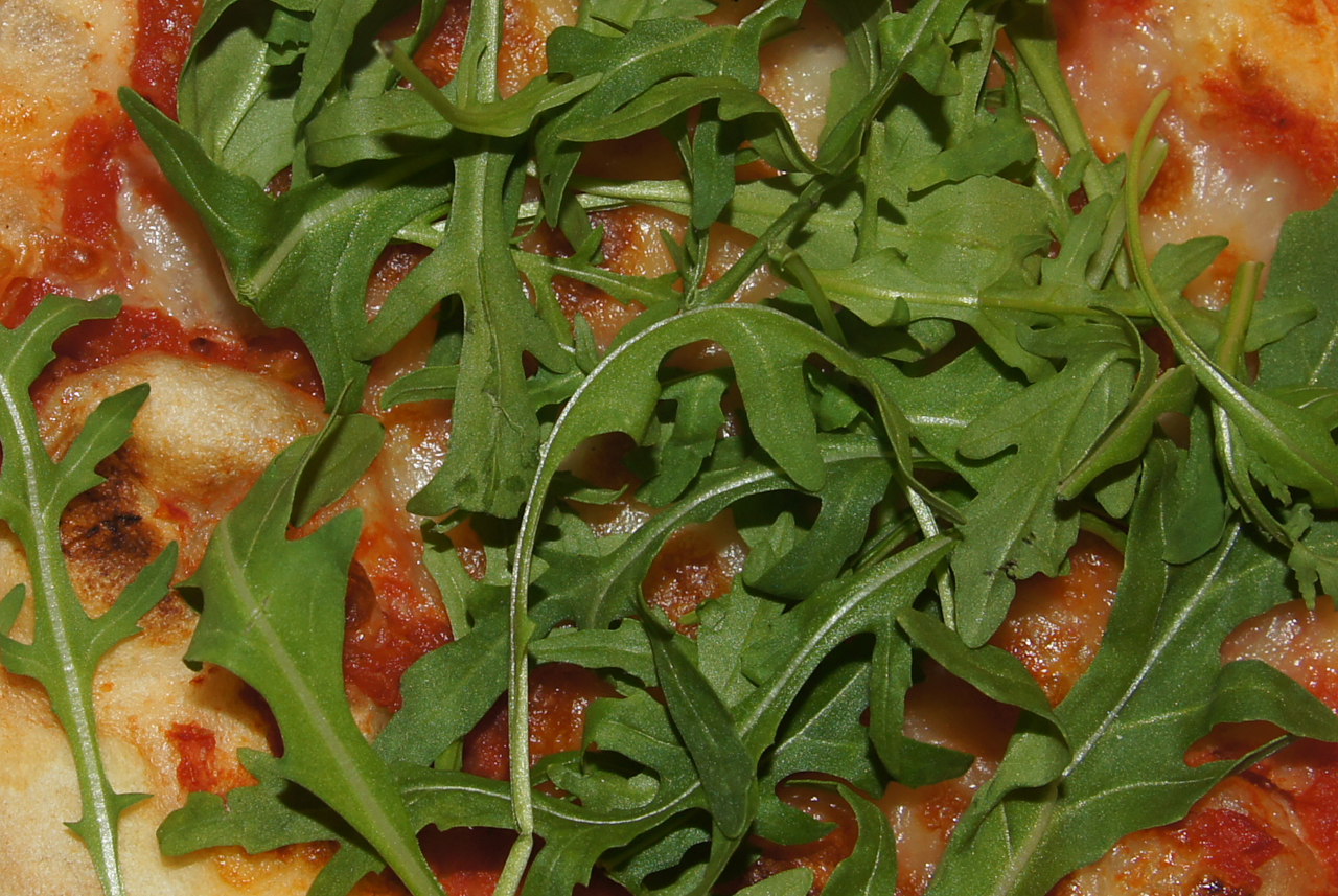 Image hover effect image